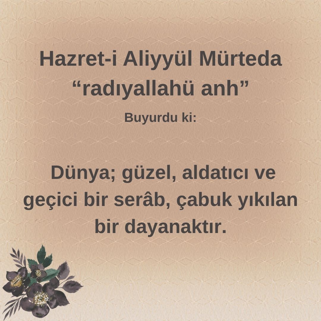 Aliyyül Mürteda (97)